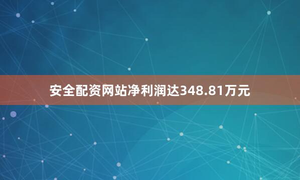 安全配资网站净利润达348.81万元