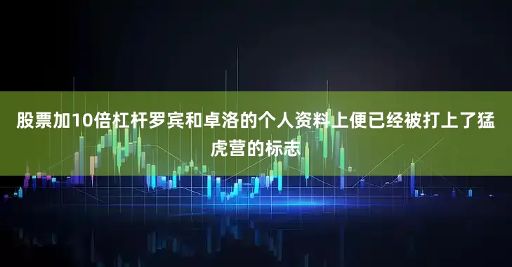 股票加10倍杠杆罗宾和卓洛的个人资料上便已经被打上了猛虎营的标志