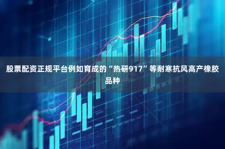 股票配资正规平台例如育成的“热研917”等耐寒抗风高产橡胶品种