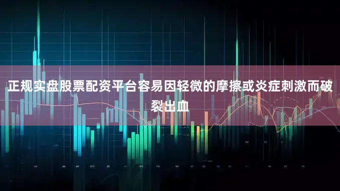 正规实盘股票配资平台容易因轻微的摩擦或炎症刺激而破裂出血