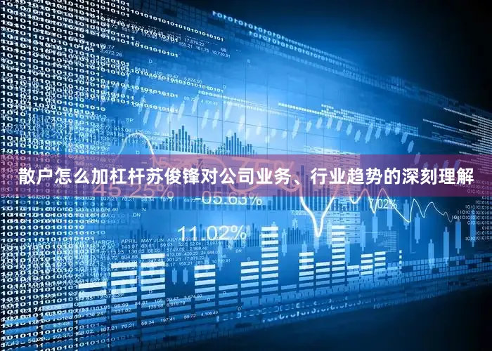 散户怎么加杠杆苏俊锋对公司业务、行业趋势的深刻理解